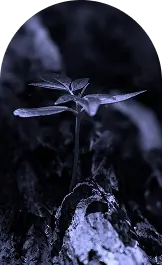 Secteur Environnement