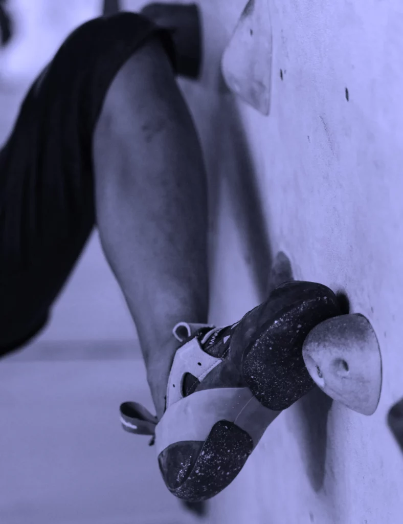 Maîtrise des risques et appui solide pour la croissance des PME